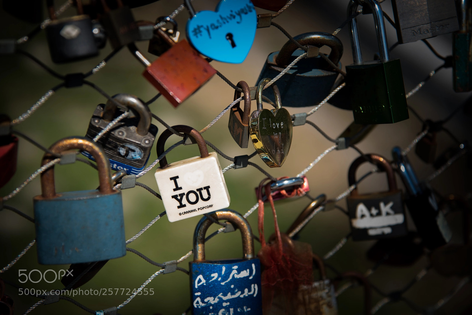 Nikon D750 sample photo. The faded love . . . photography