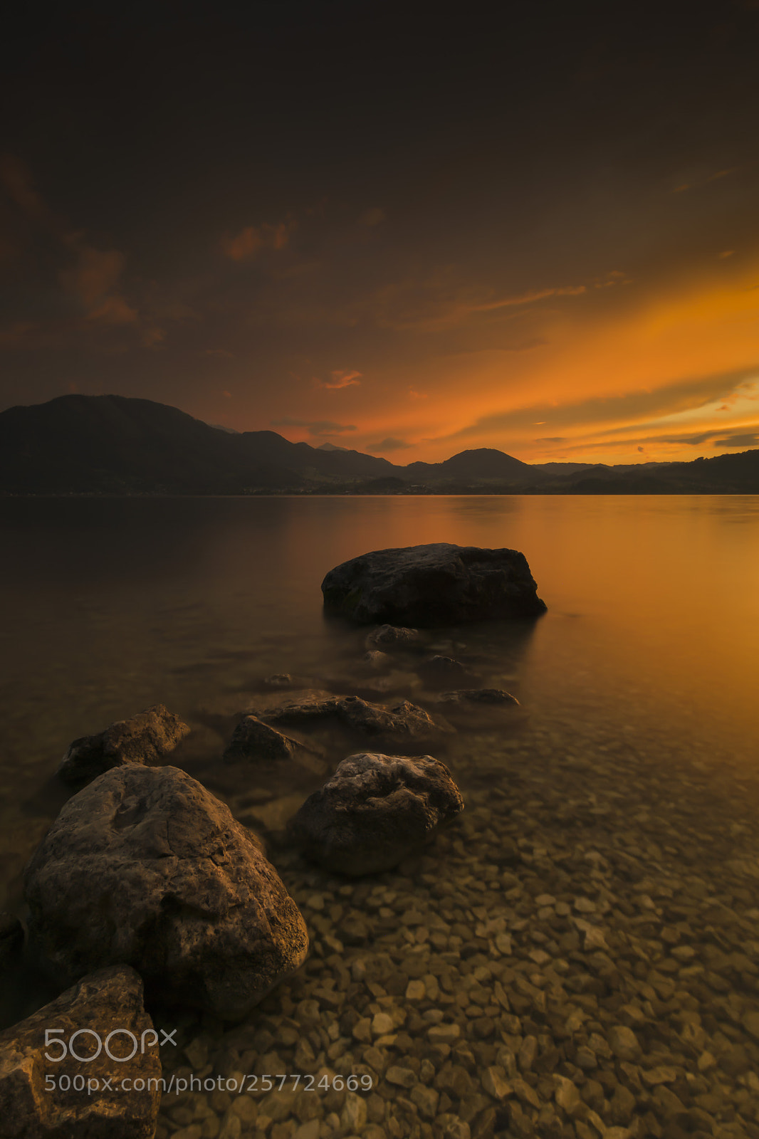 Sony ILCA-77M2 sample photo. Orange romance.. photography