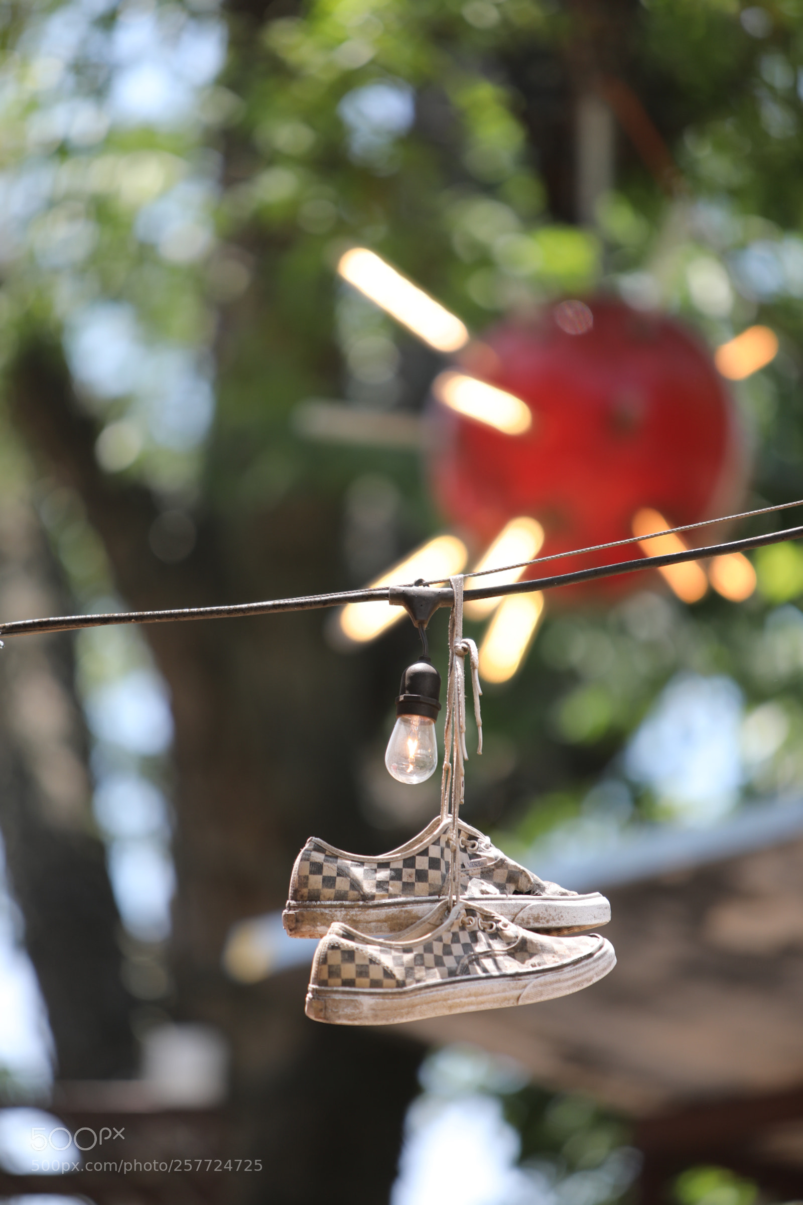 Canon EOS 5D Mark IV sample photo. Shoes on a wire photography