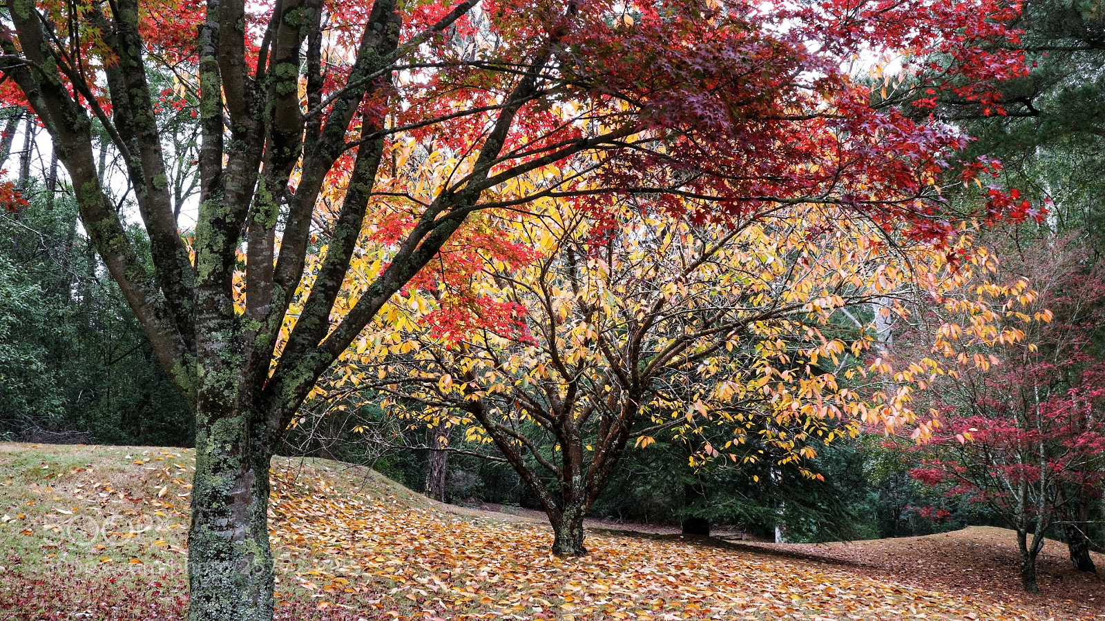 Canon EOS M3 sample photo. Untitled photography
