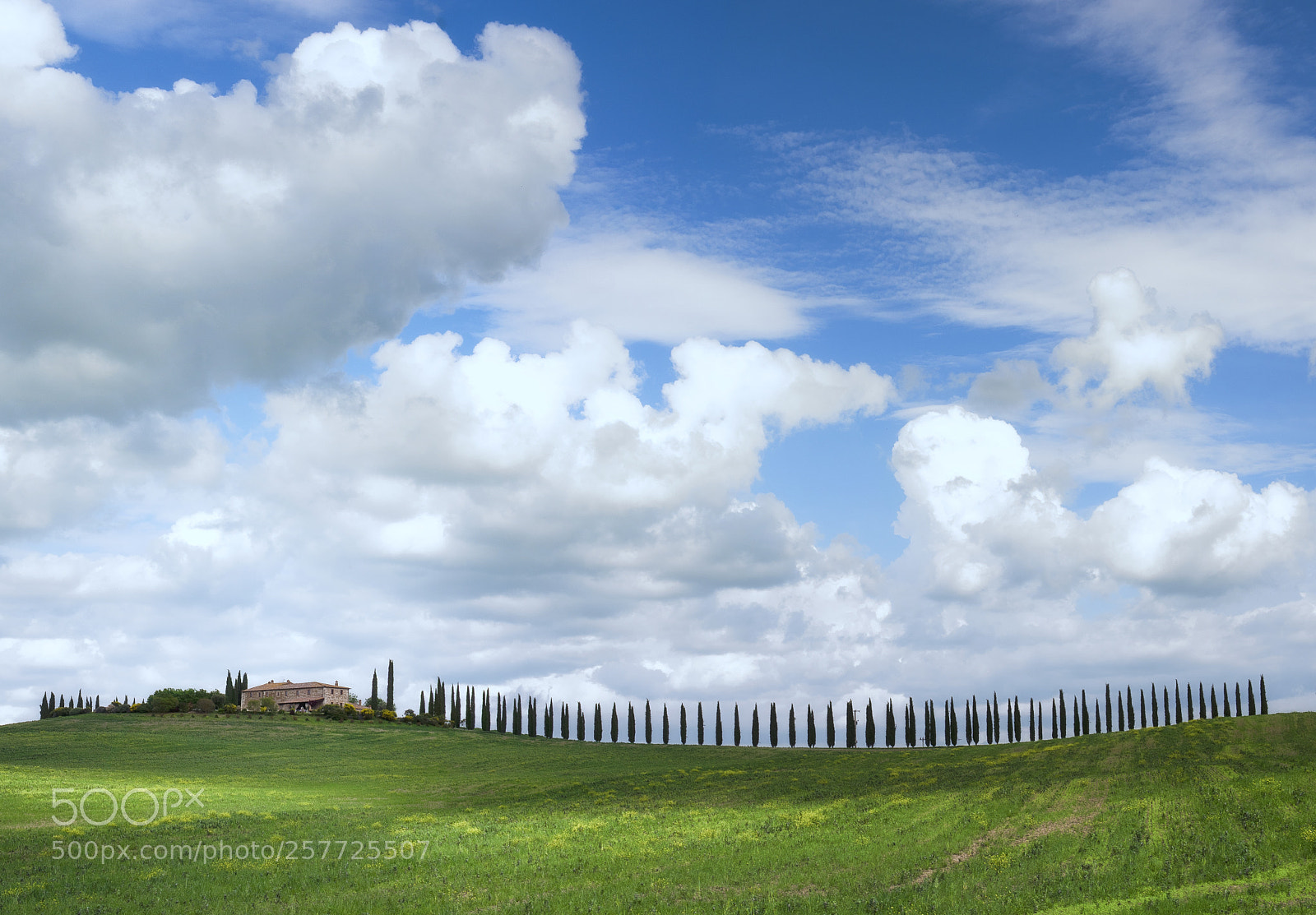 Nikon D750 sample photo. Orcia photography