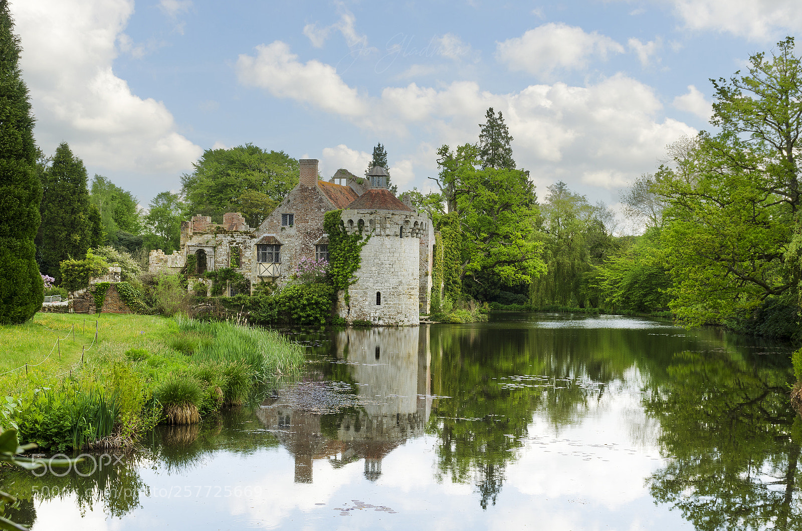 Nikon D5100 sample photo. Scotney castle photography
