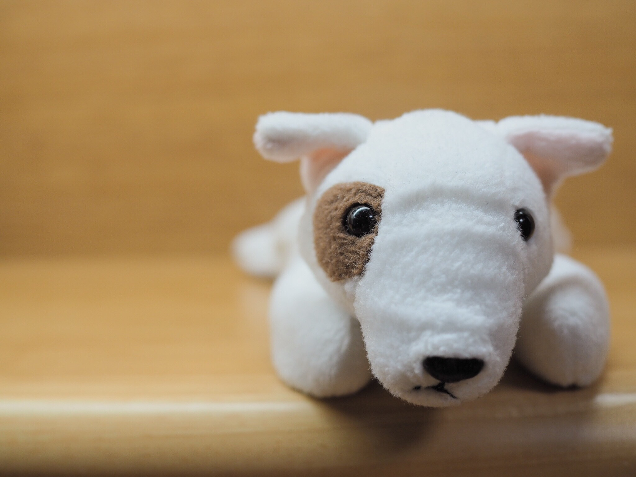 Olympus PEN E-PL7 sample photo