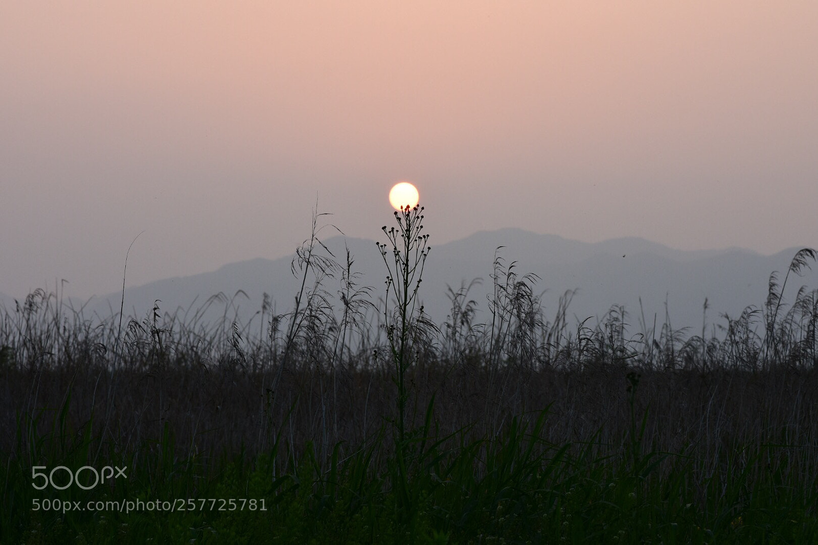 Nikon D7200 sample photo. Untitled photography