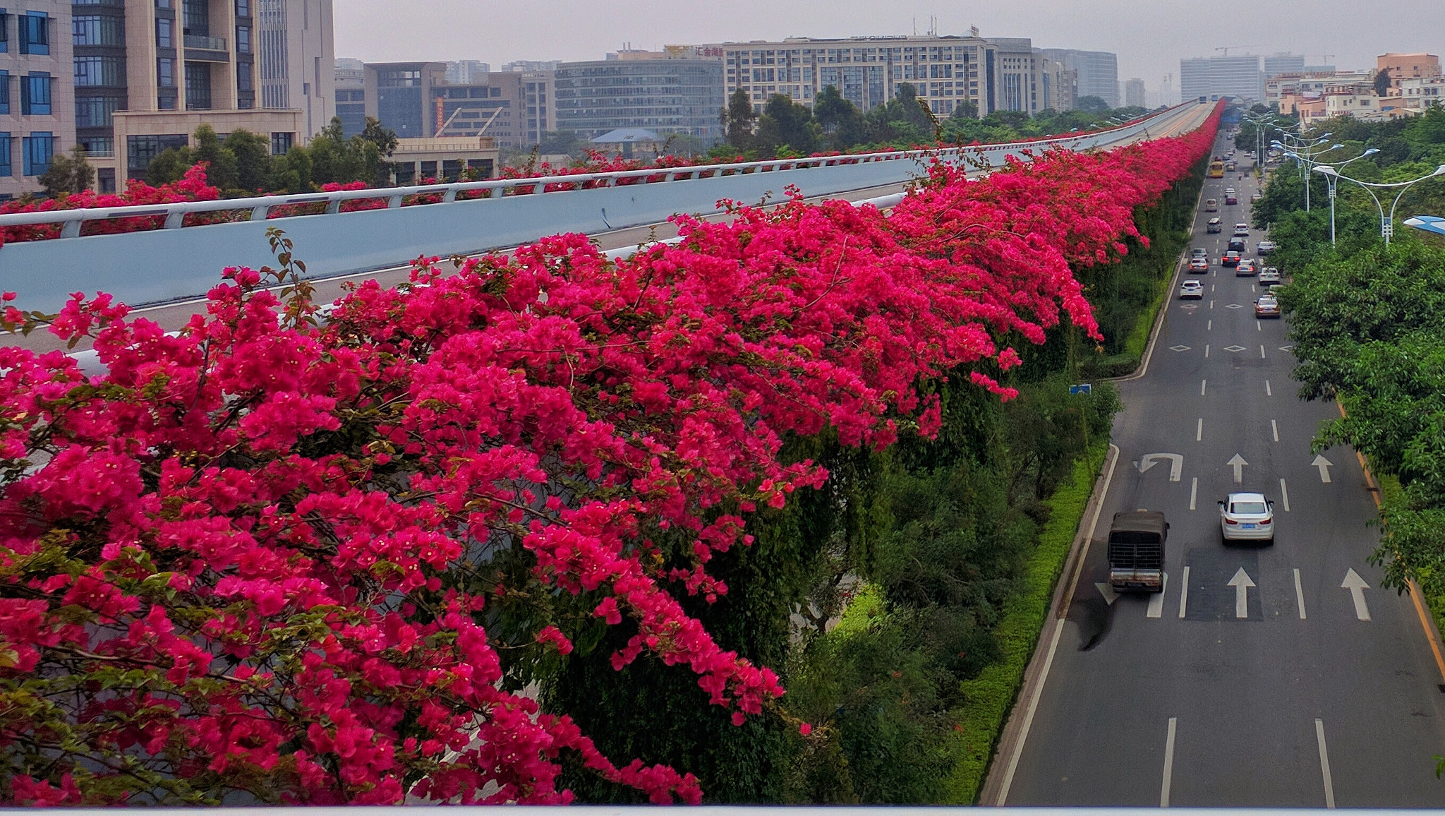 Motorola Nexus 6 sample photo. Xia men brt photography