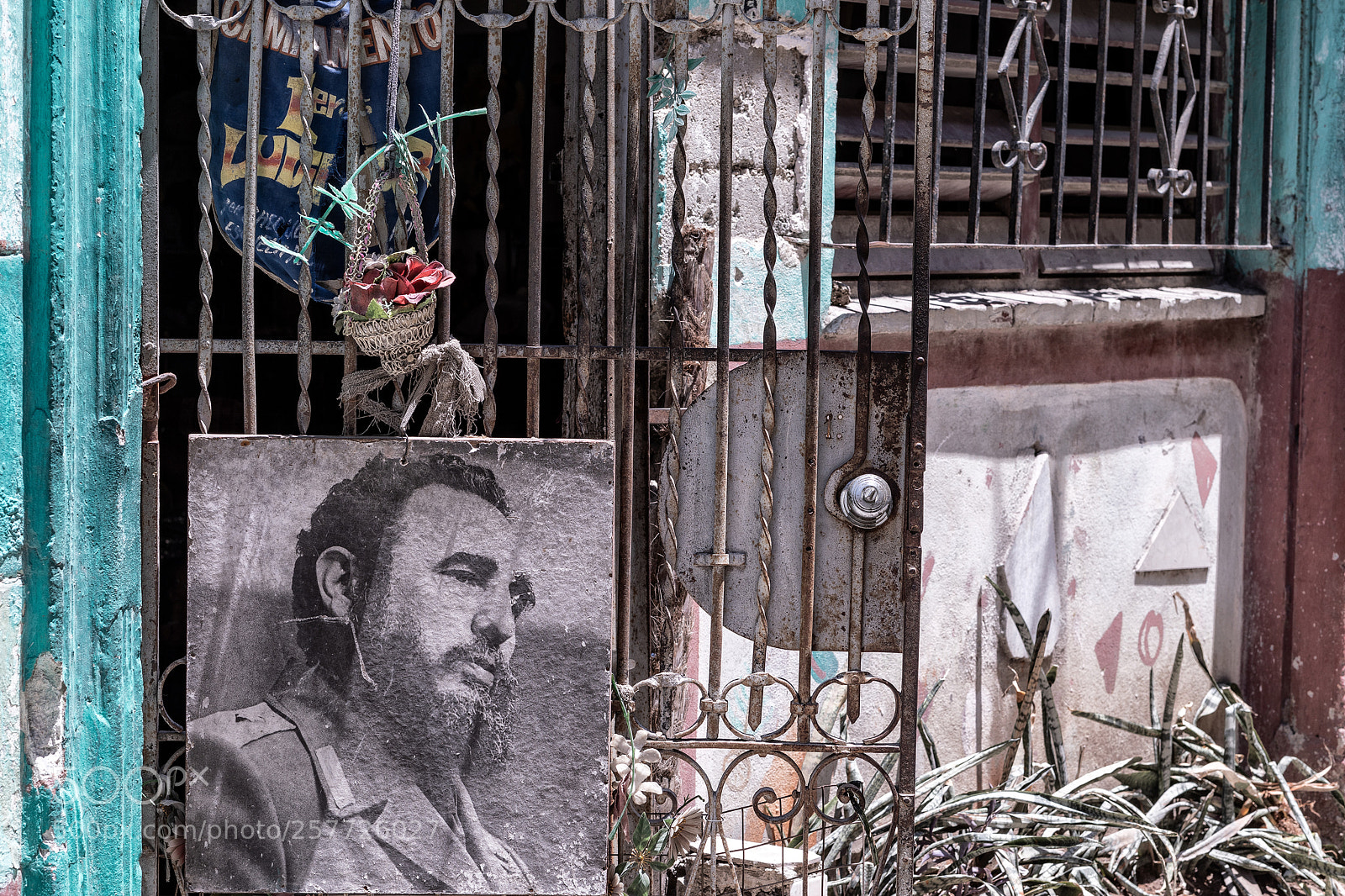 Canon EOS 5D Mark IV sample photo. In the streets of photography