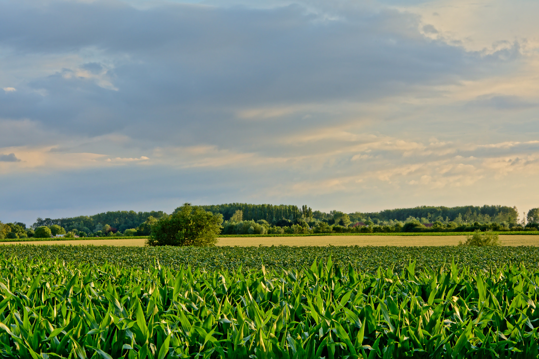 Nikon D5200 sample photo. Flemish countryside landscape photography