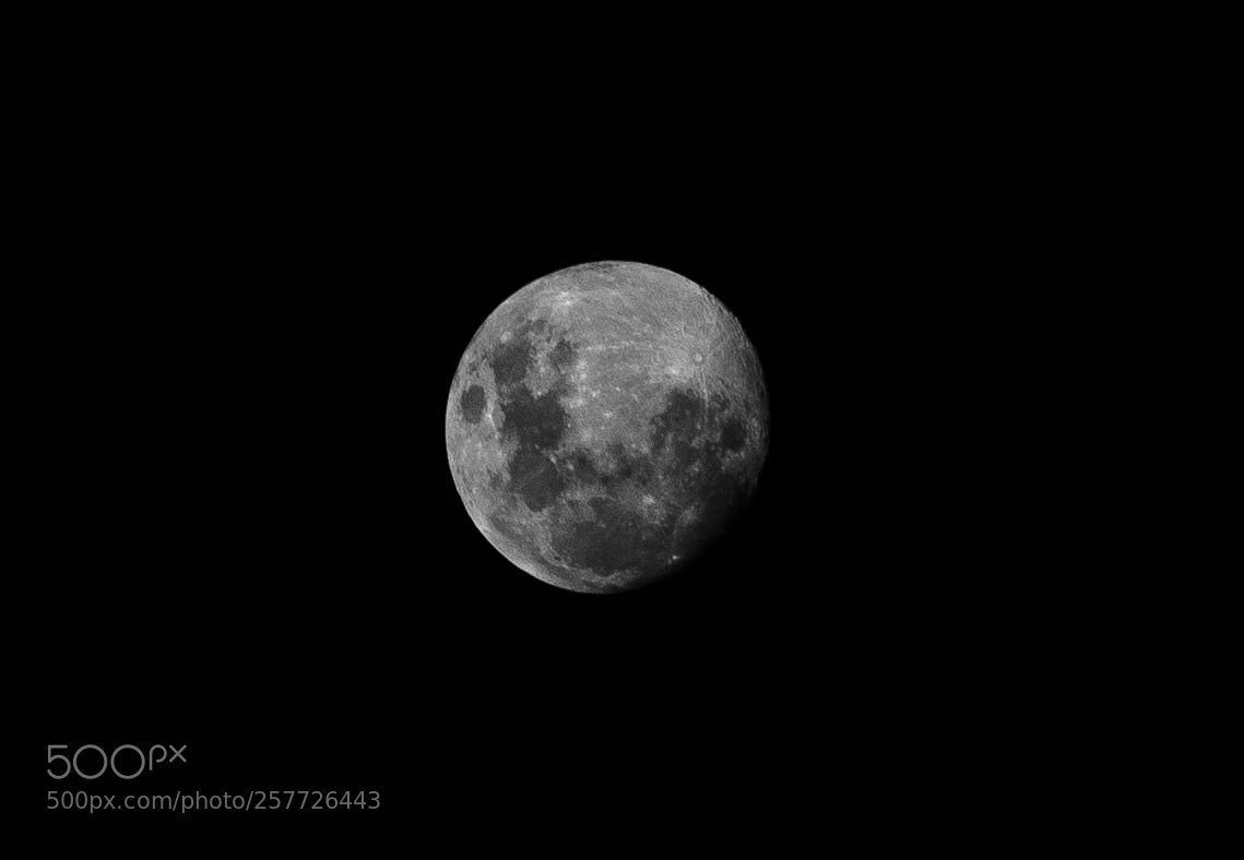 Nikon D610 sample photo. Lua photography
