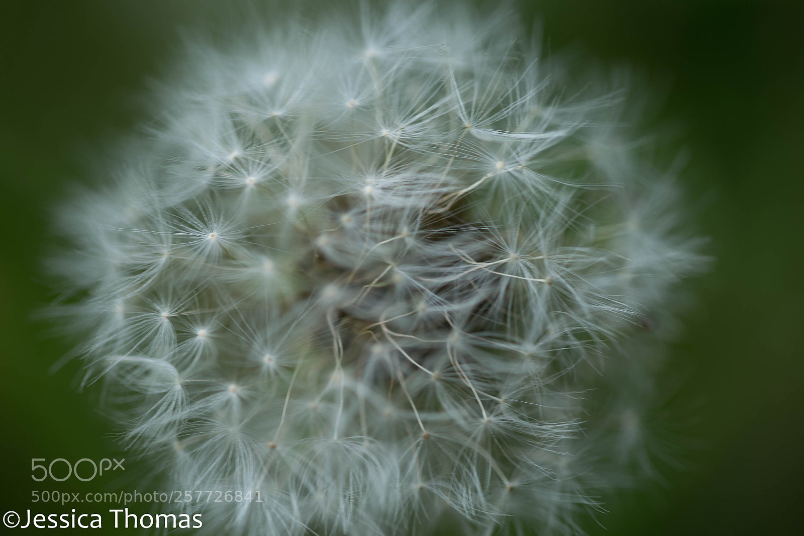 Canon EOS 6D sample photo. Untitled photography