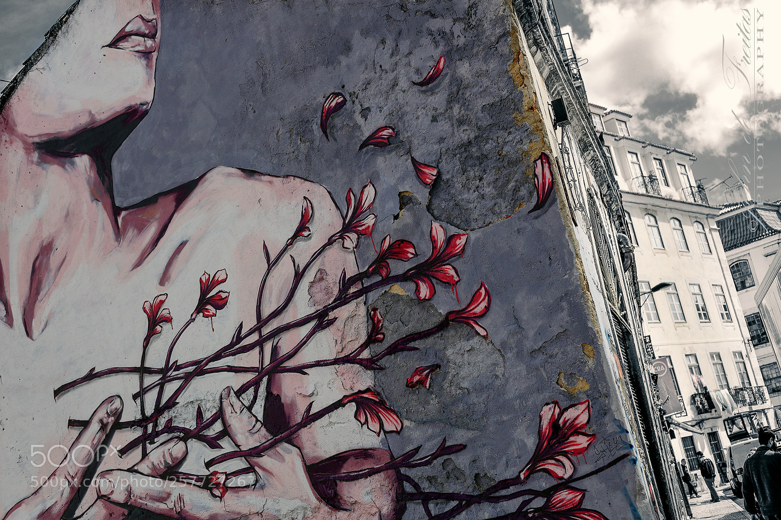 Canon EOS 5D Mark II sample photo. Mural photography