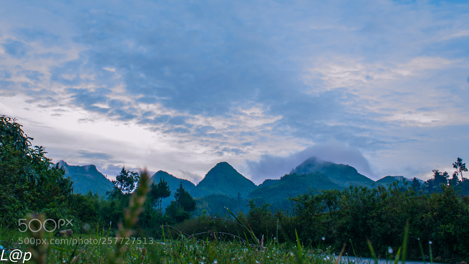 Canon EOS 40D sample photo. No name photography