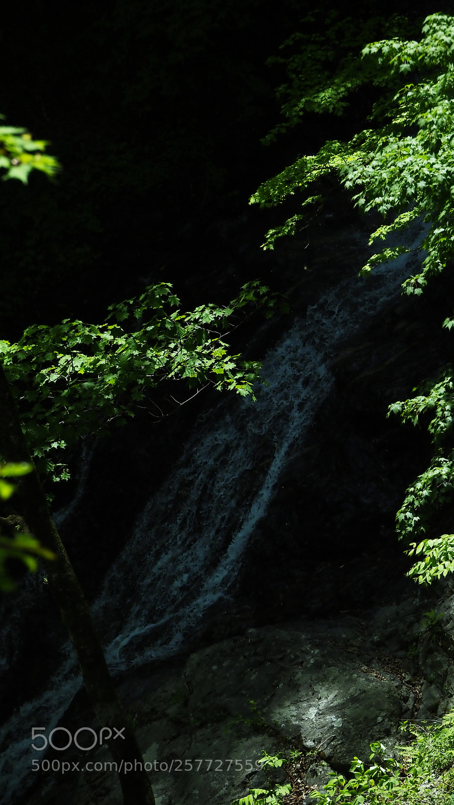 Olympus OM-D E-M1 Mark II sample photo. Waterfall photography