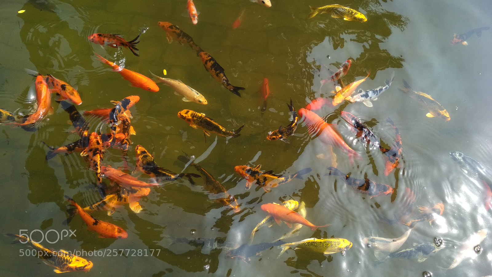 Xiaomi Redmi 4X sample photo. Untitled photography