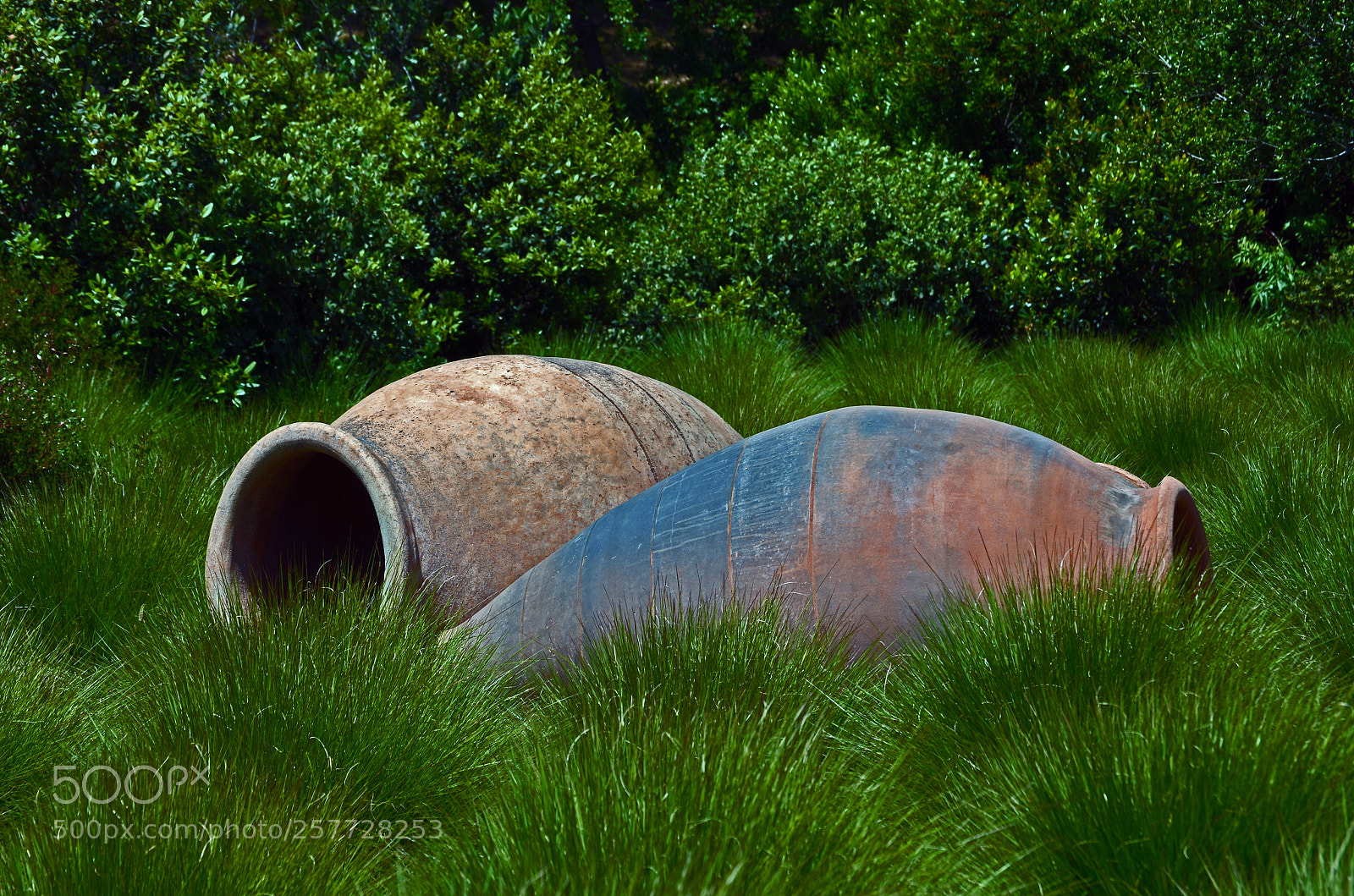Nikon D5100 sample photo. Wine casks photography