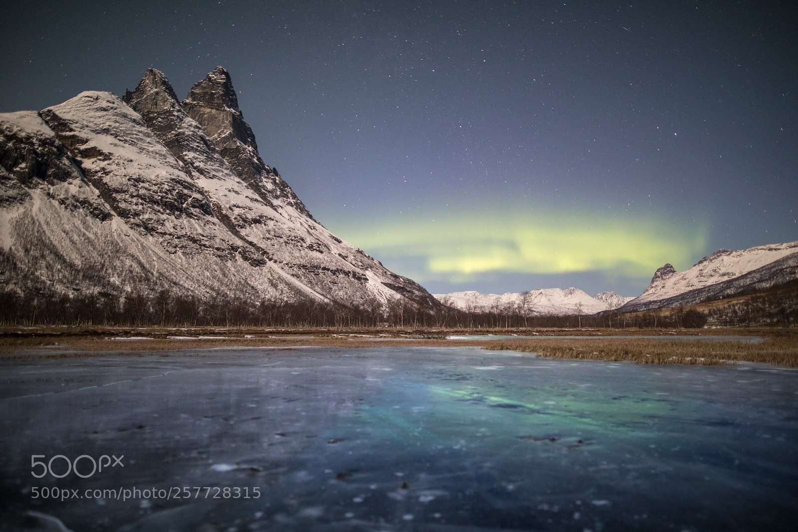 Canon EOS 5D Mark IV sample photo. Aurora borealis over frozen photography