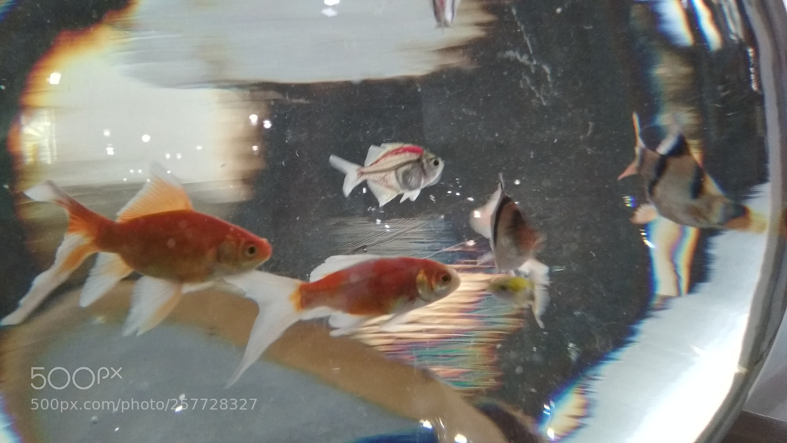 Xiaomi Redmi 4X sample photo. Untitled photography