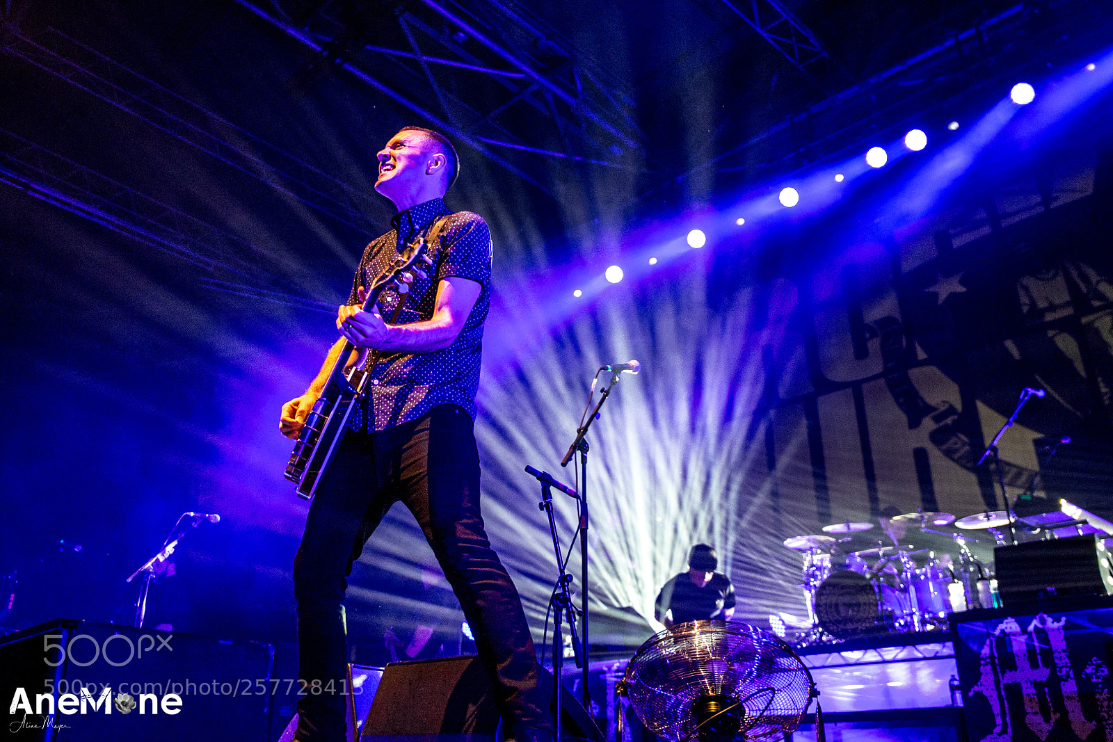 Canon EOS-1D X sample photo. Dropkick murphys photography