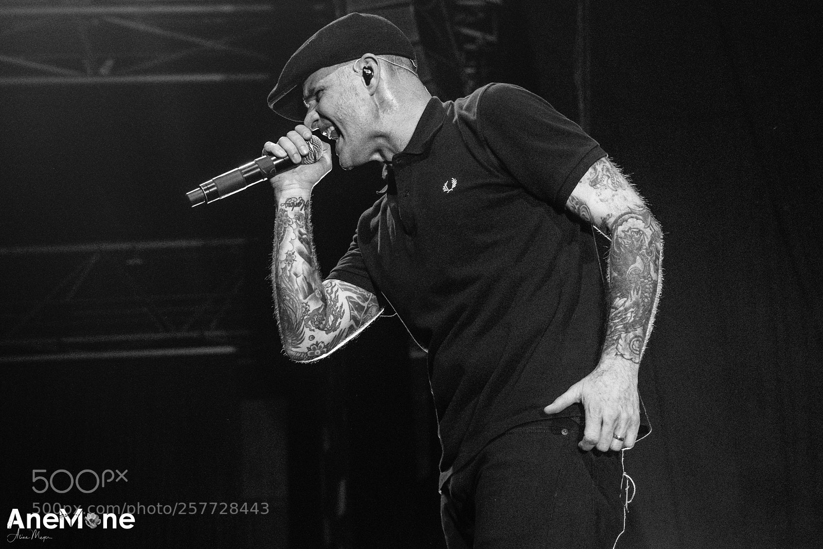Canon EOS-1D X sample photo. Dropkick murphys photography