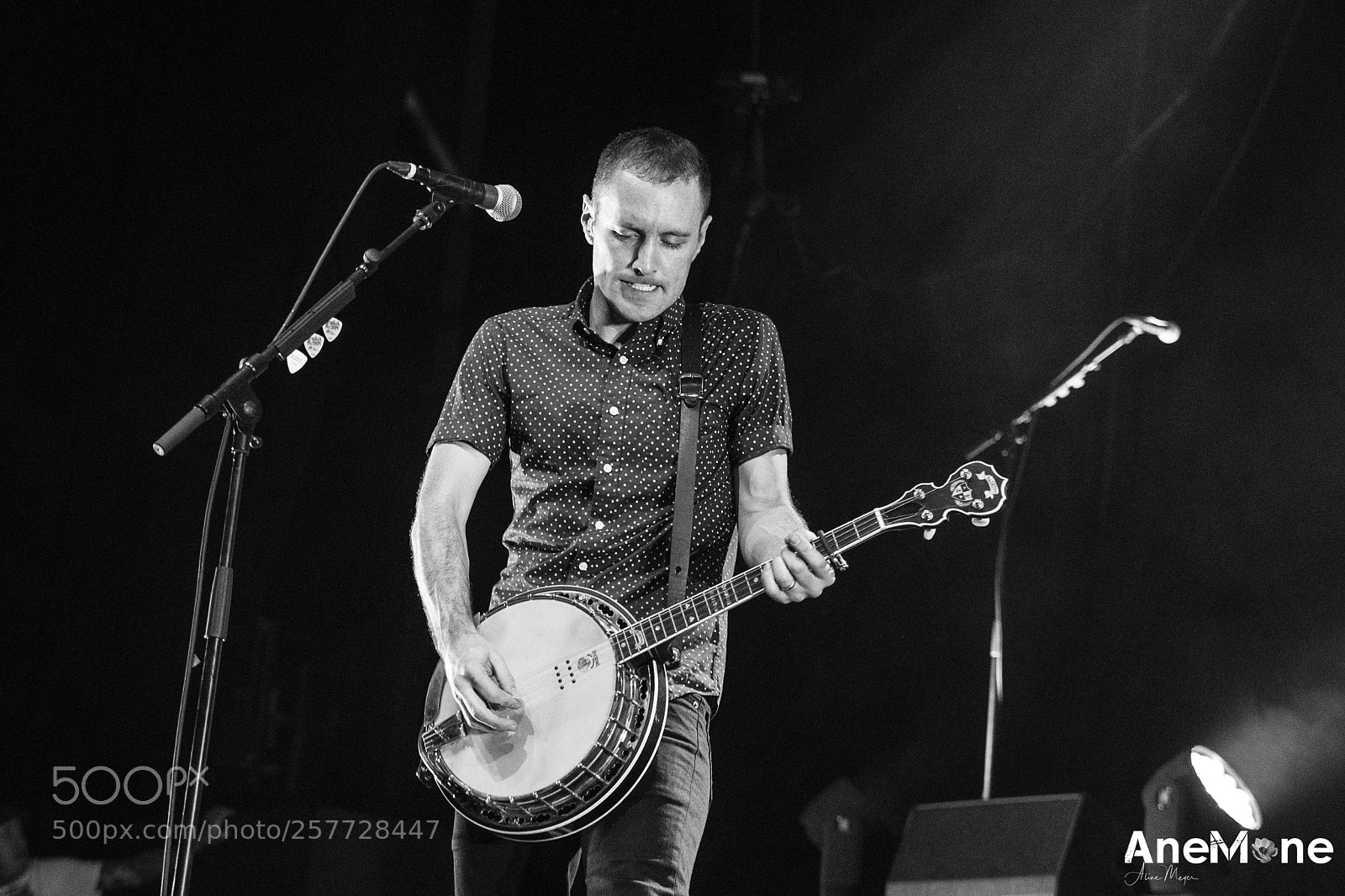 Canon EOS-1D X sample photo. Dropkick murphys photography