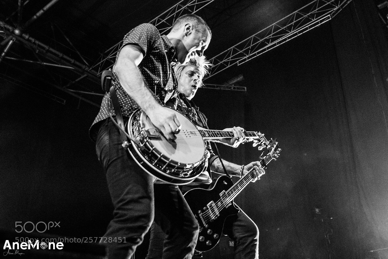 Canon EOS-1D X sample photo. Dropkick murphys photography