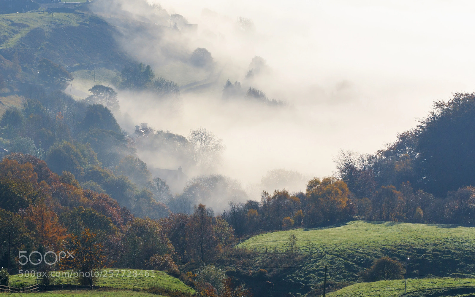 Canon EOS 7D Mark II sample photo. Countryside fog photography