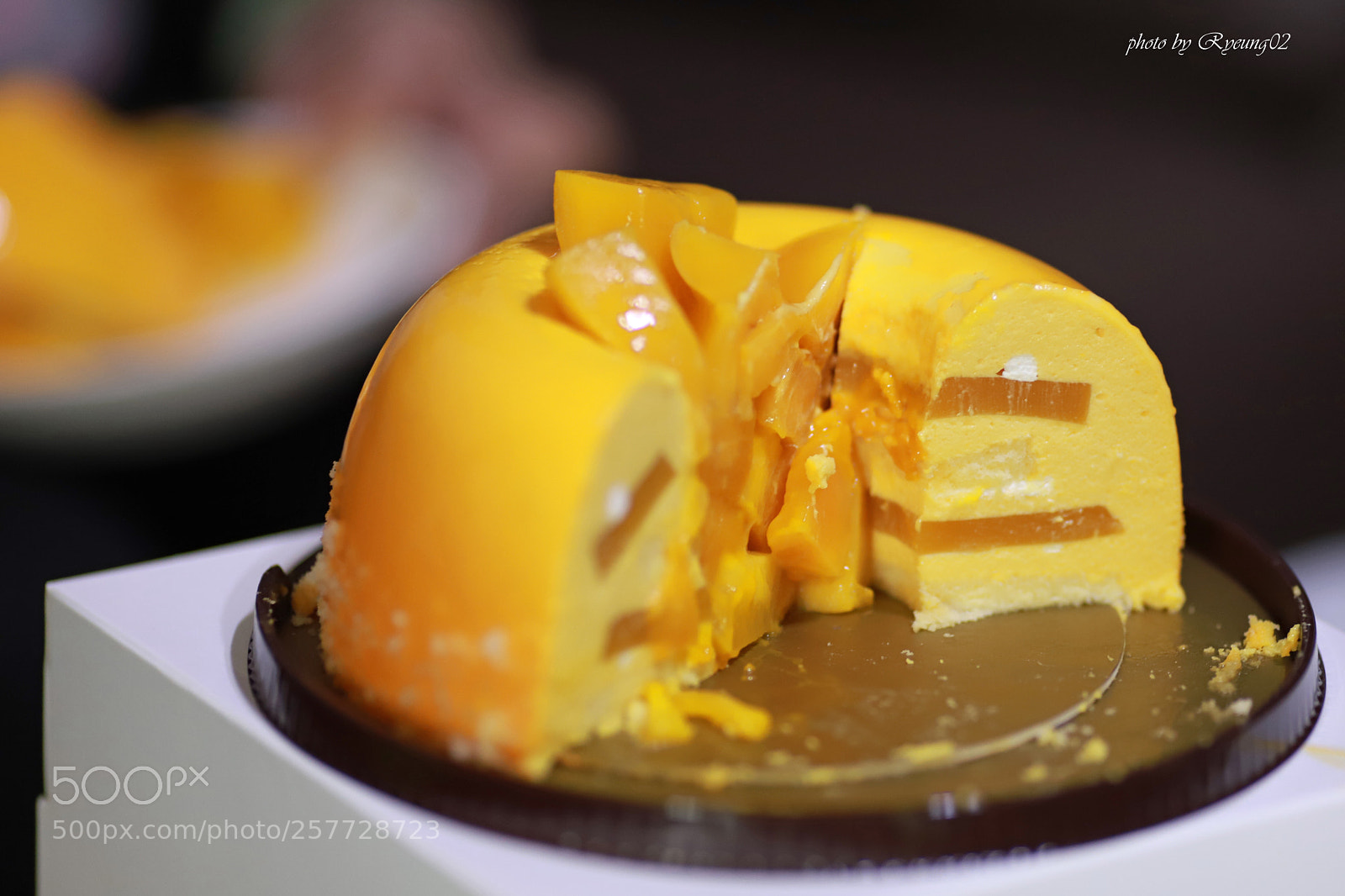 Canon EOS 6D Mark II sample photo. Untitled photography