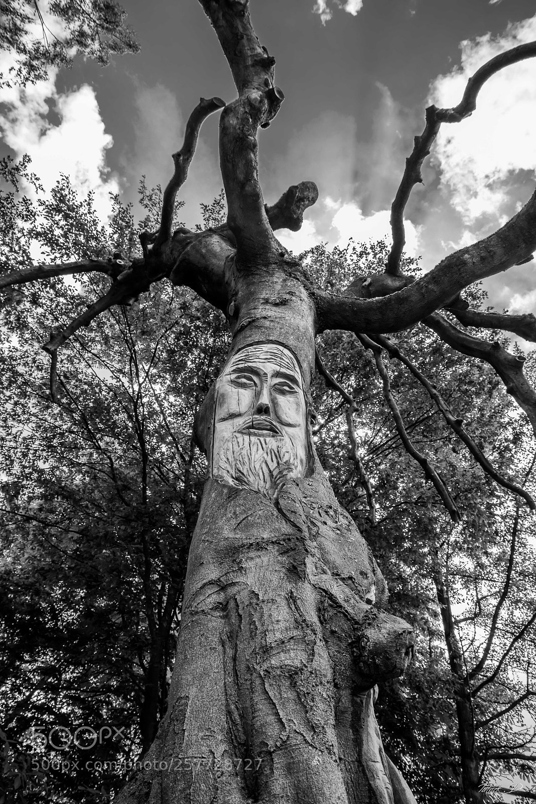 Nikon D750 sample photo. Sculpture n b au photography