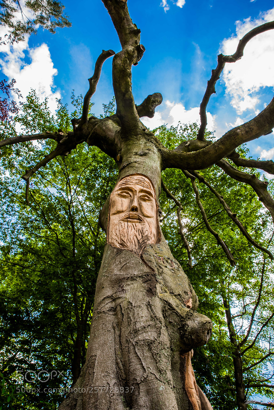 Nikon D750 sample photo. Sculpture couleur au parc photography