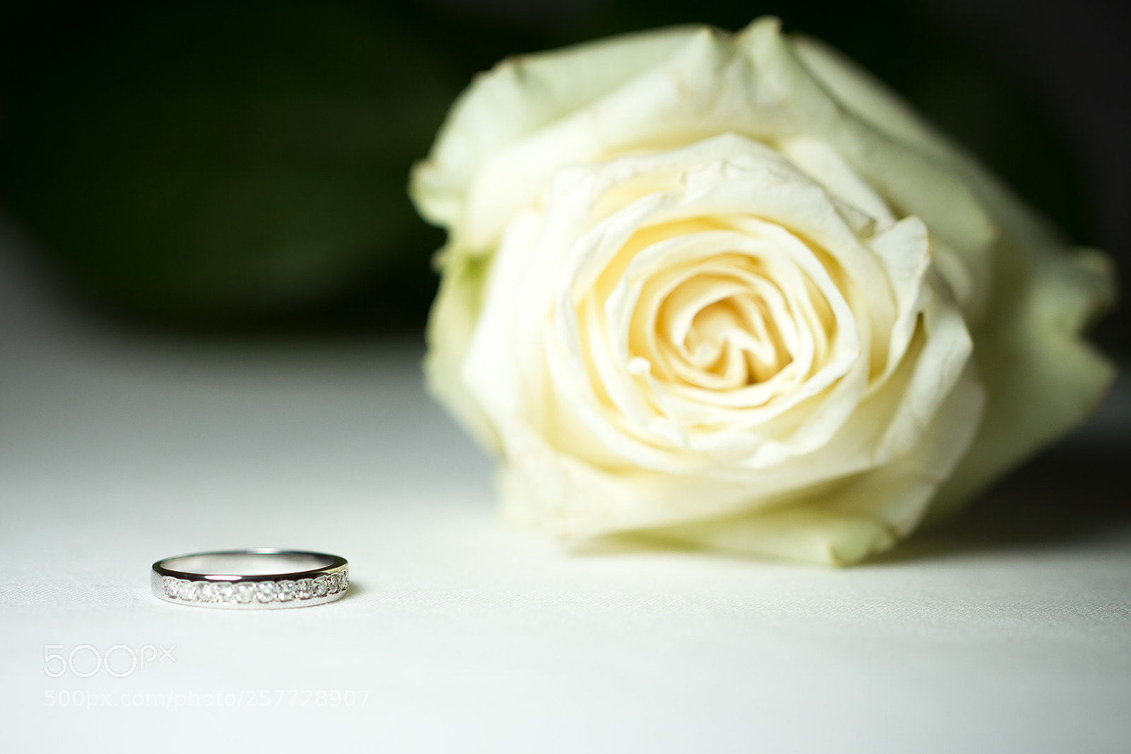 Canon EOS 550D (EOS Rebel T2i / EOS Kiss X4) sample photo. Flower ring photography