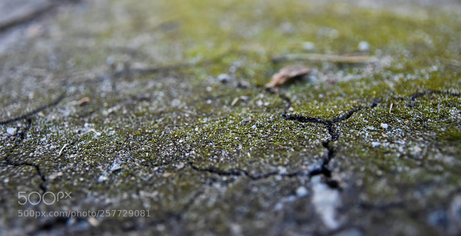 Nikon D5500 sample photo. Cracks photography