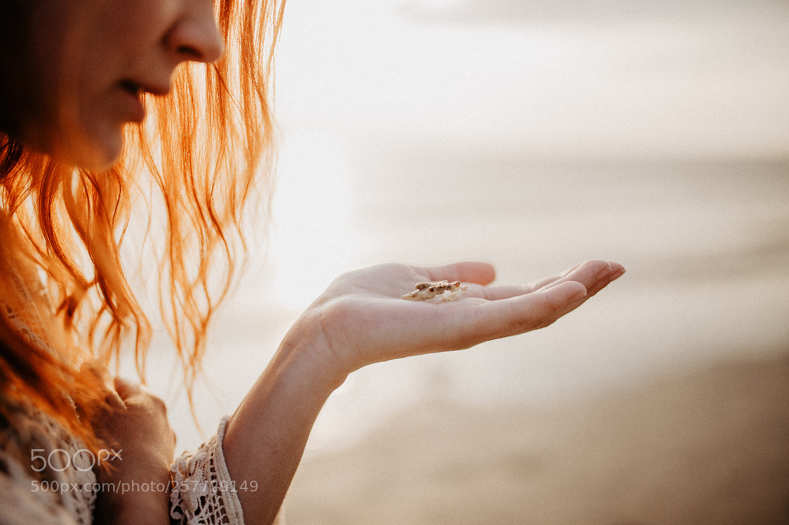 Canon EOS 6D sample photo. Cancer photography