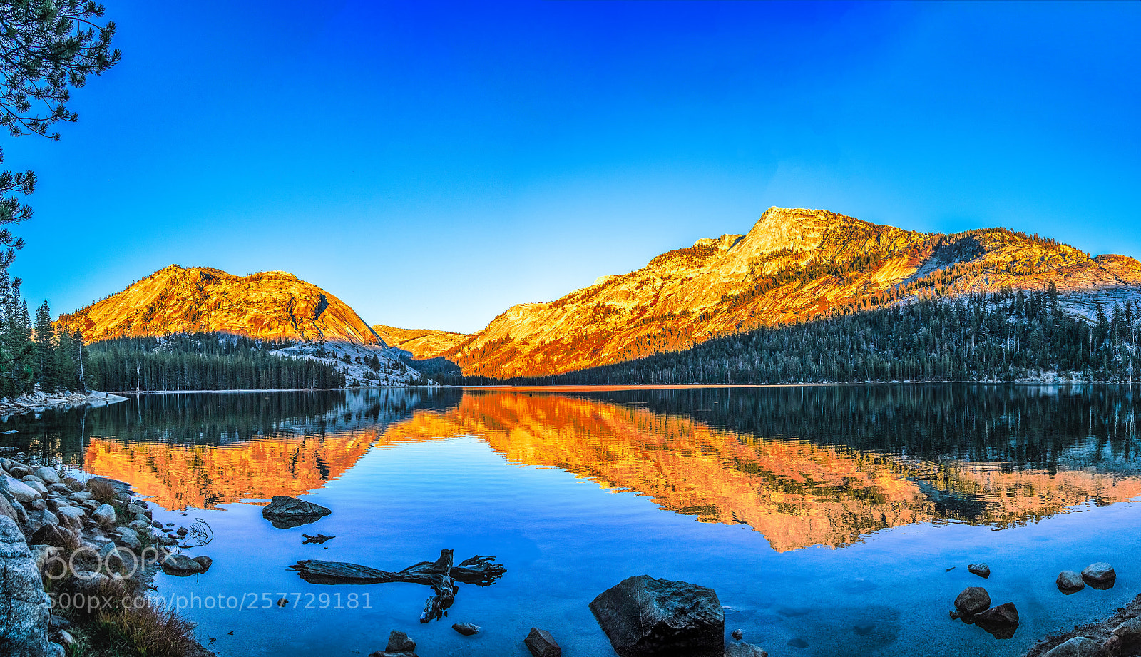 Canon EOS 7D Mark II sample photo. Tenaya lake photography