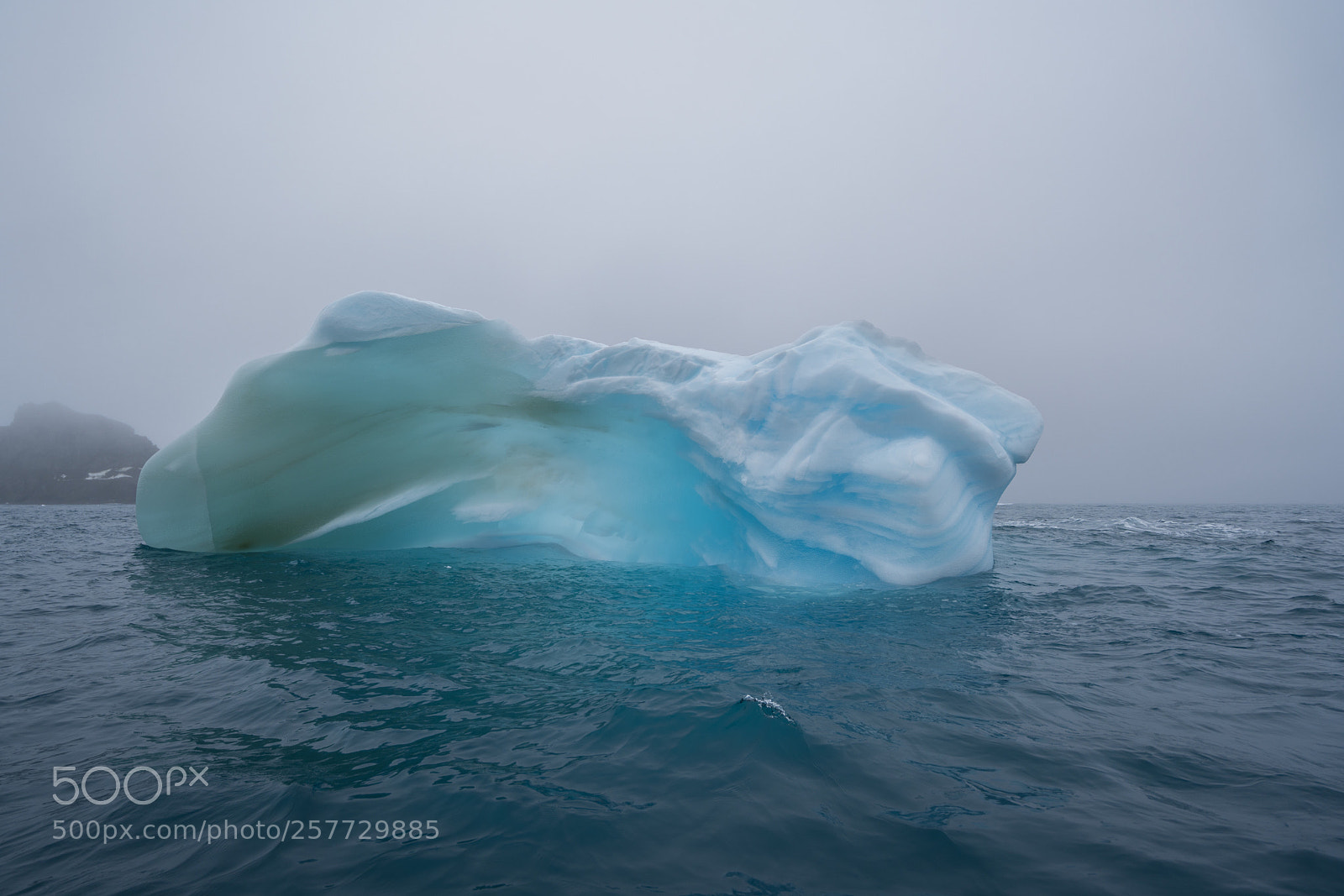 Sony a7R II sample photo. Elephant island photography