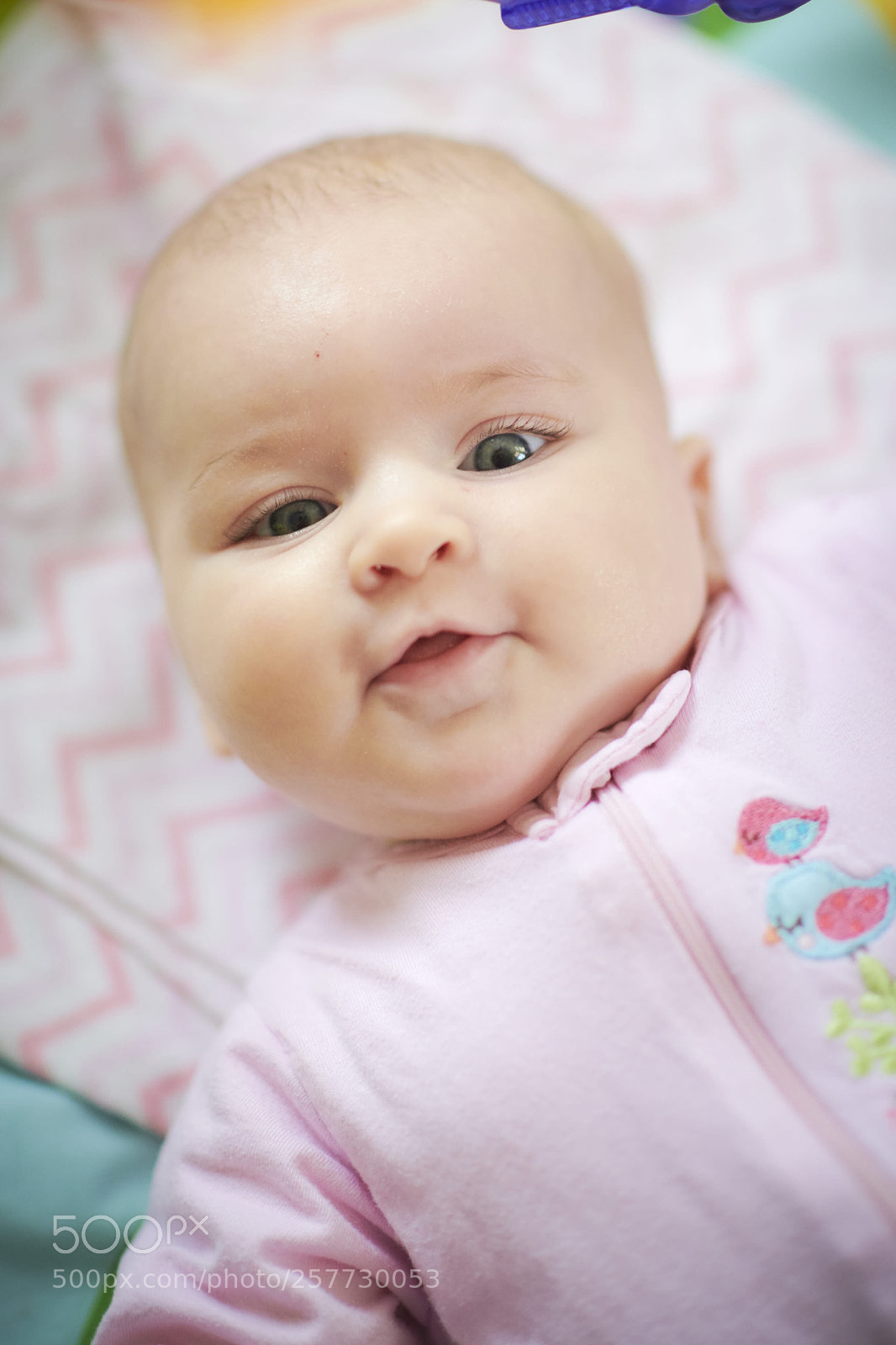 Nikon D850 sample photo. Baby k photography