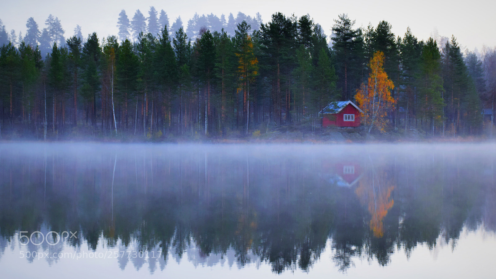 Nikon D5300 sample photo. Niebla photography