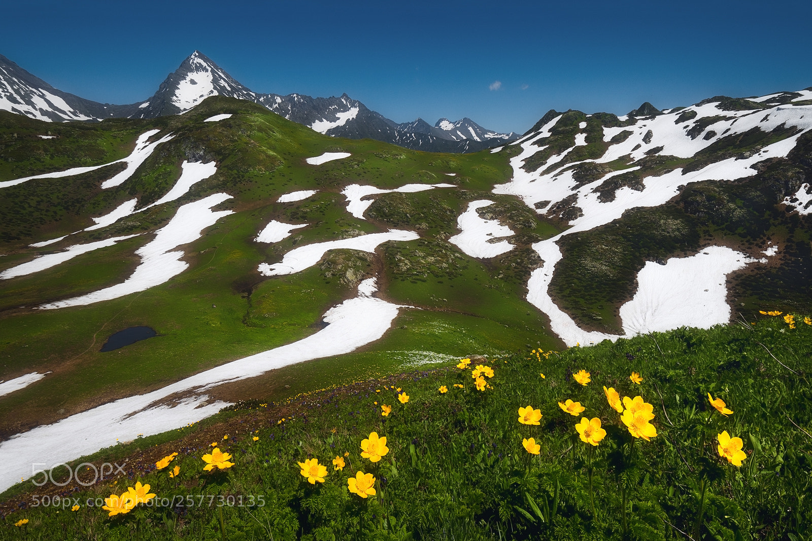 Nikon D7000 sample photo. Spotted mountain photography