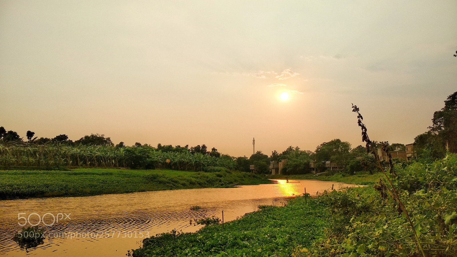 Xiaomi Redmi 4 Pro sample photo. Golden moment photography