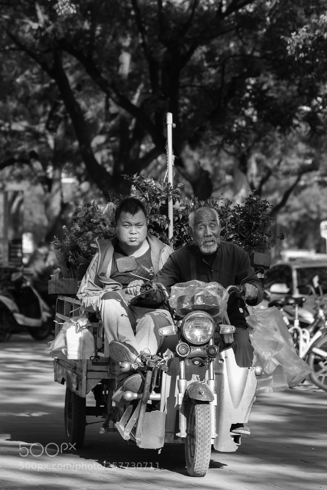Nikon D750 sample photo. Streets of beijing photography