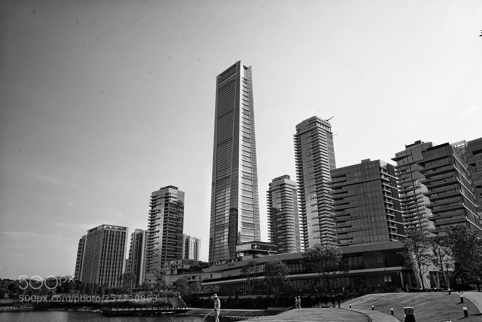 Sony a7R sample photo. Untitled photography