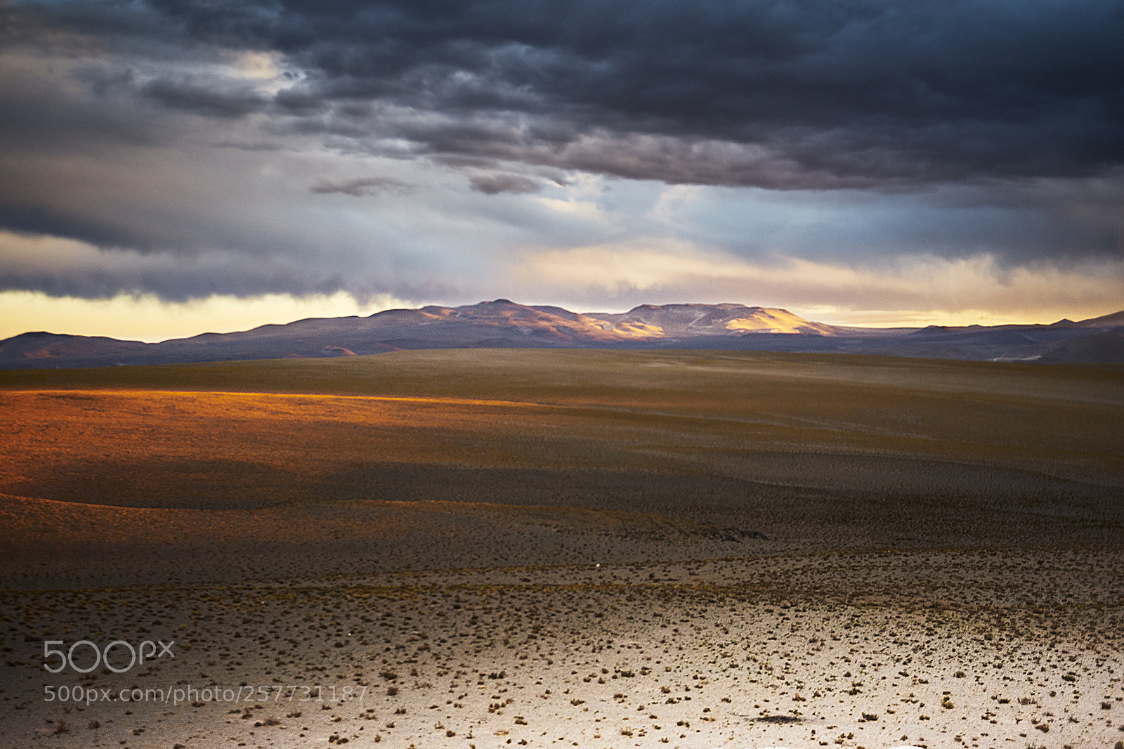 Sony a7 sample photo. Golden landscape photography