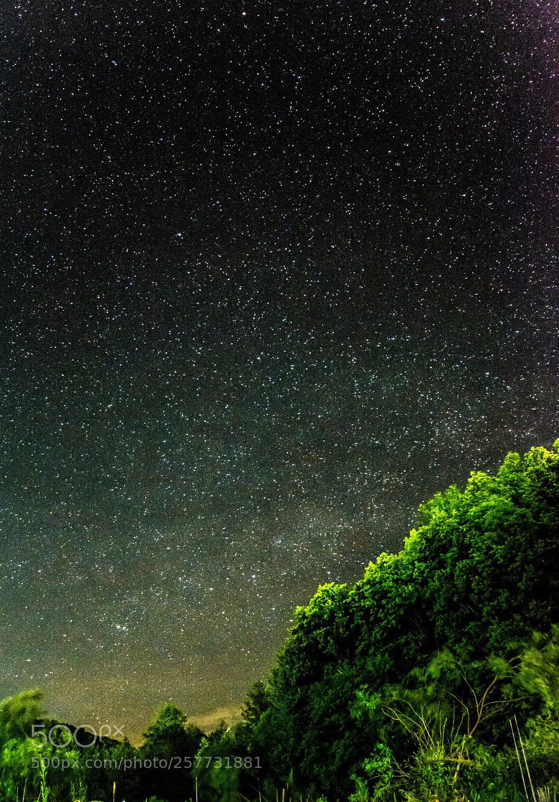 Nikon D7100 sample photo. Stars. photography