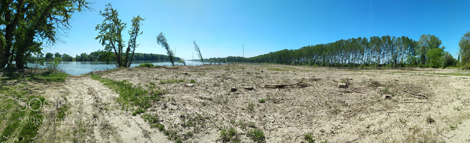 Xiaomi Mi A1 sample photo. Drought by the river. photography
