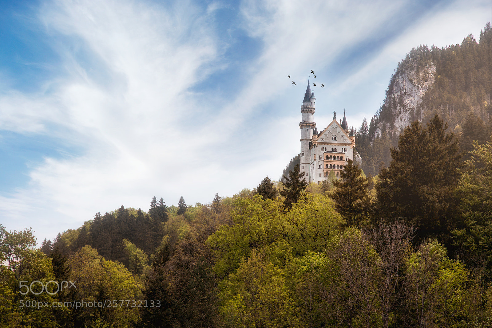 Nikon D750 sample photo. Neuschwainstein castle photography