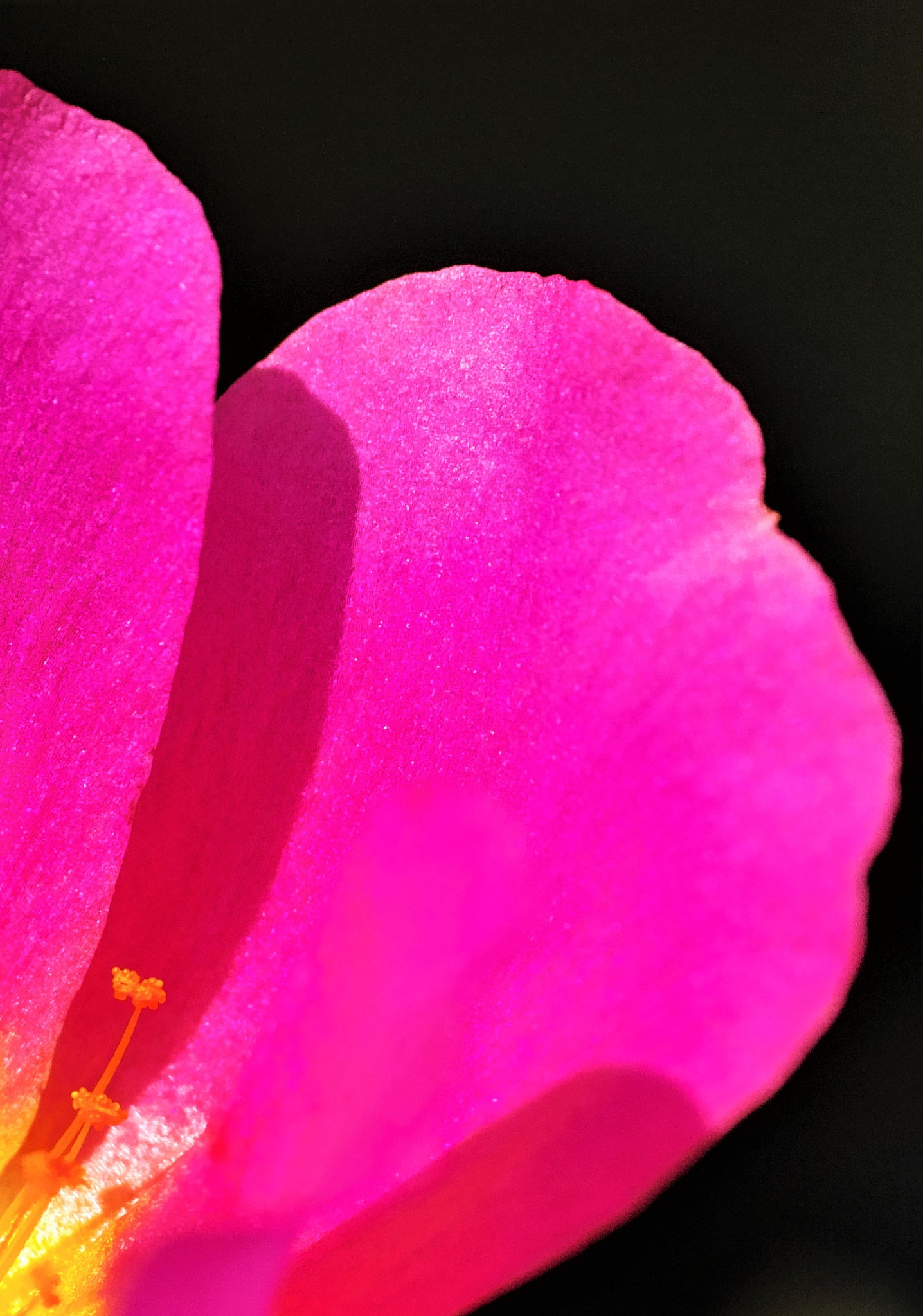 Sigma dp3 Quattro sample photo. A photography