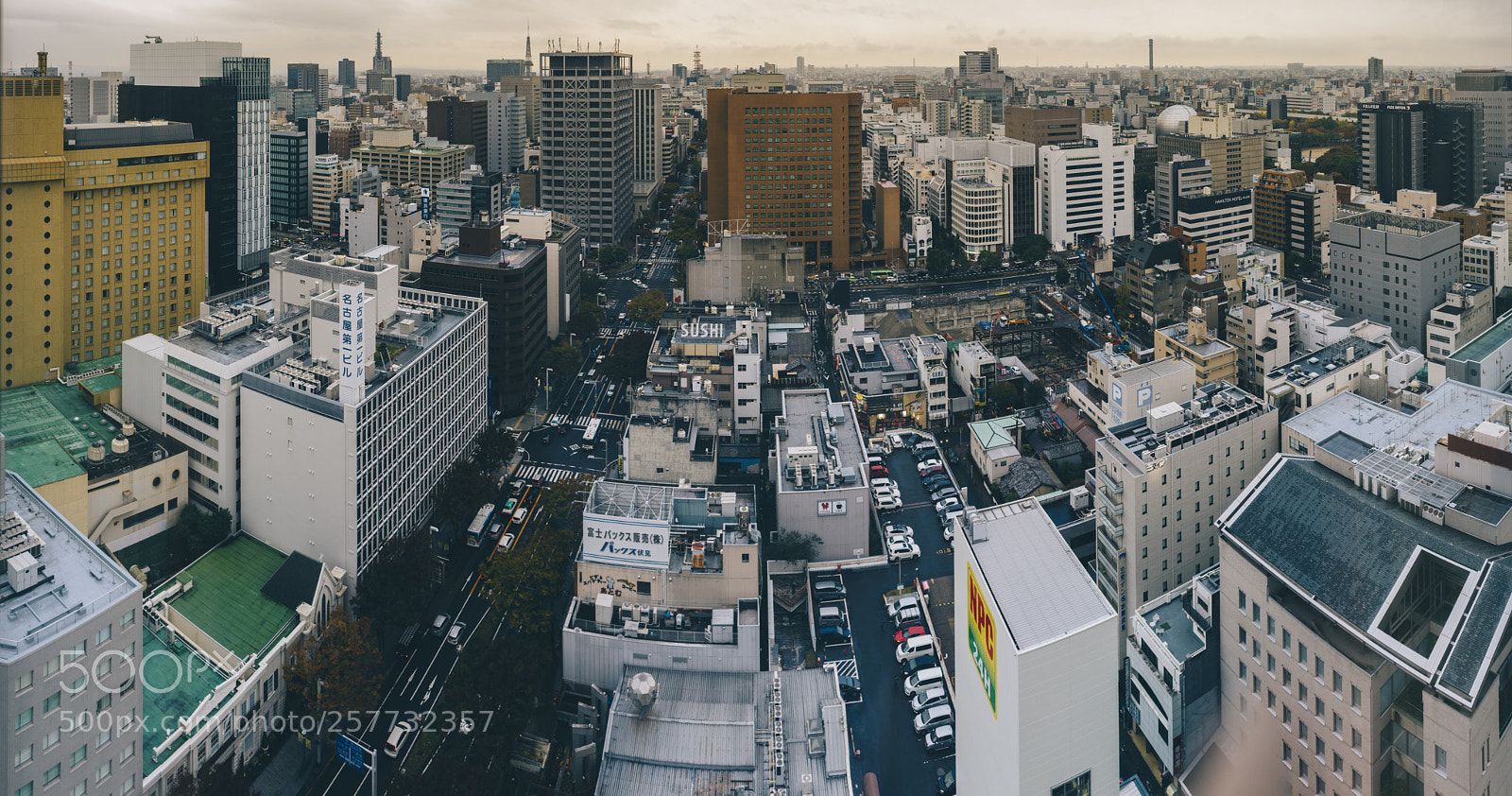 Canon EOS 6D sample photo. Nagoya from above photography