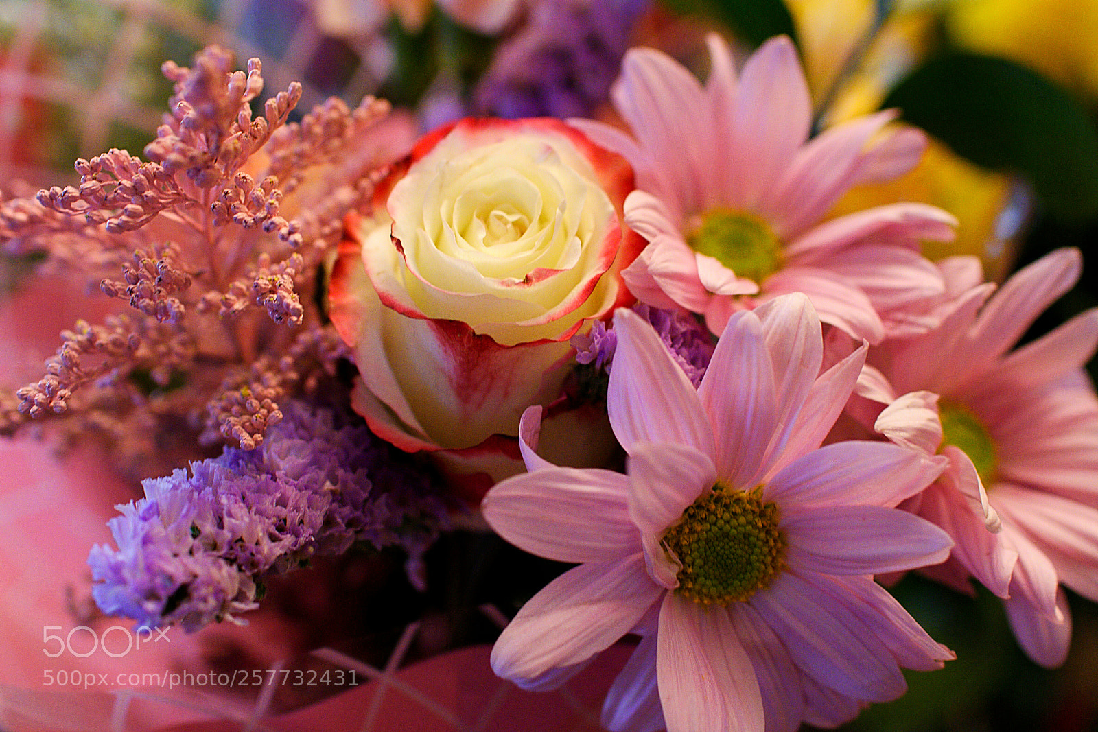 Nikon D7200 sample photo. Dia de madres photography