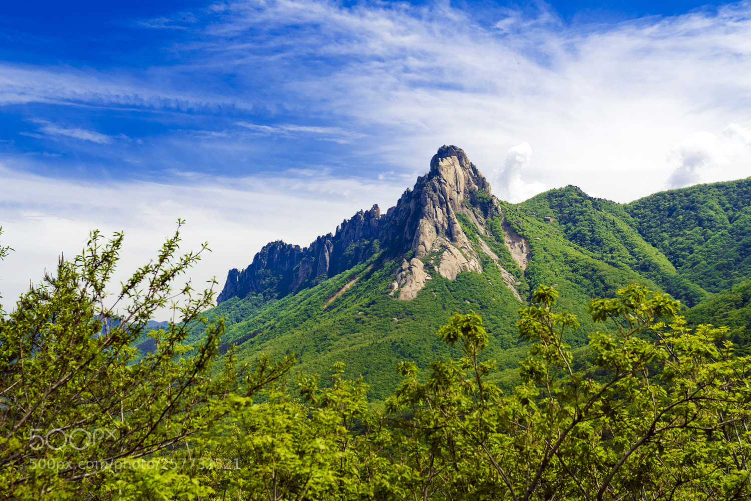 Sony a7R II sample photo. Seorak mountain photography
