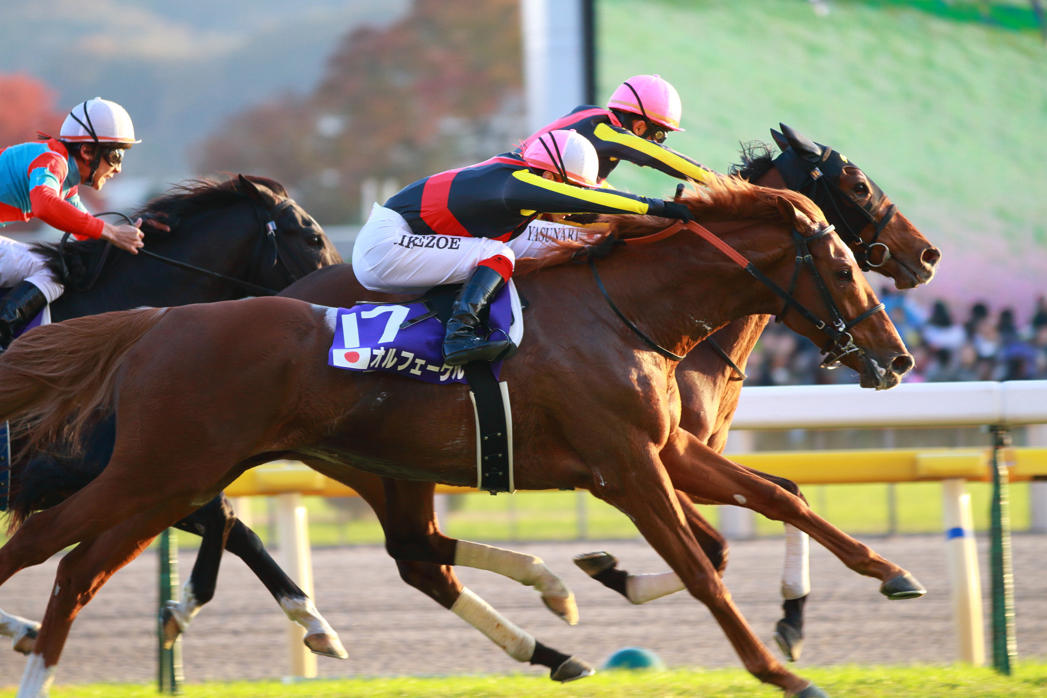 Canon EOS 7D + Canon EF 70-200mm F2.8L IS II USM sample photo. Horse race photography