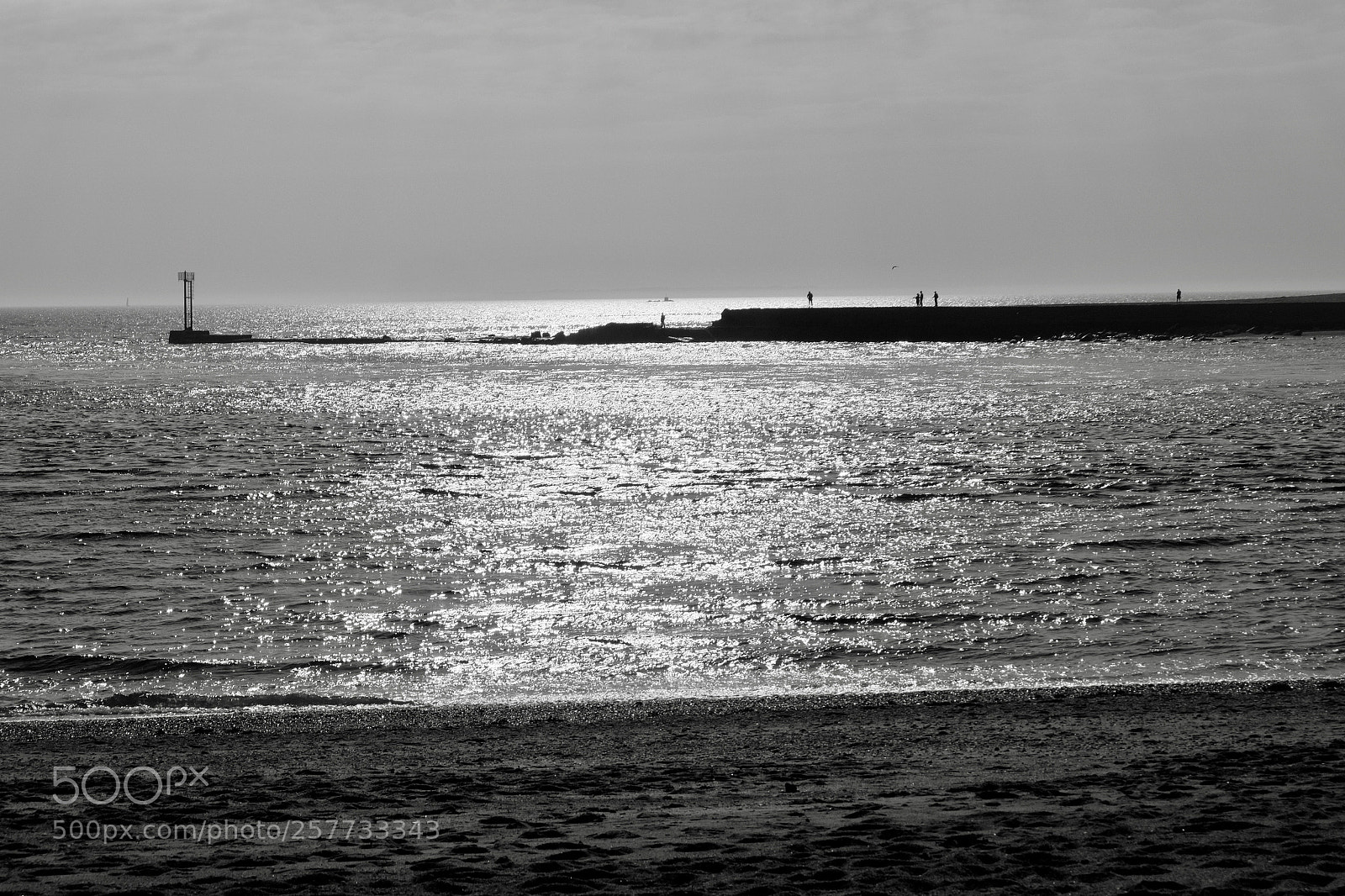 Fujifilm X-M1 sample photo. Acque nere photography