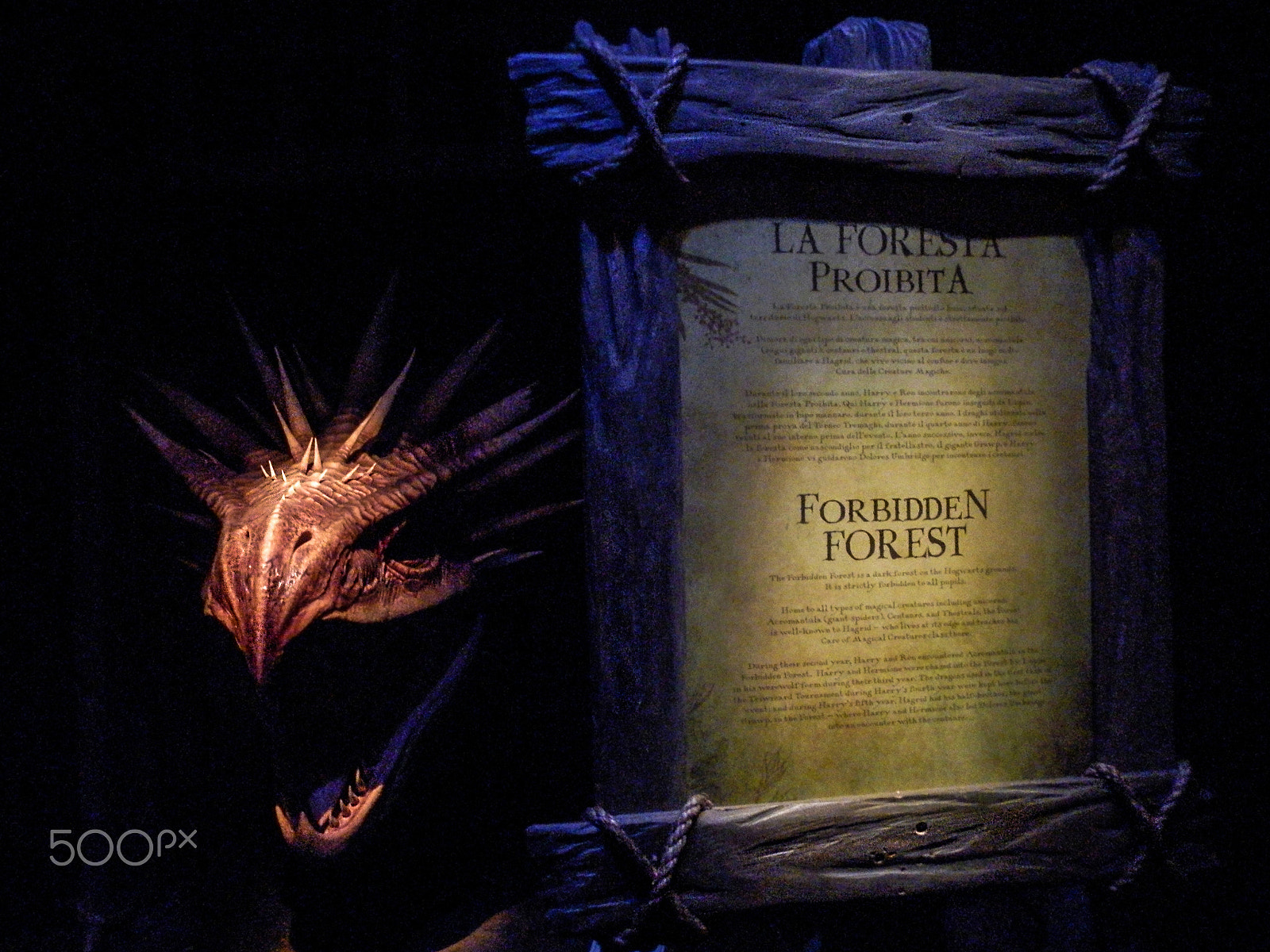 Olympus SP-620UZ sample photo. The forbidden forest (harry potter) photography